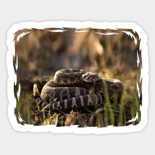 Rattlesnake Ready to Strike Sticker